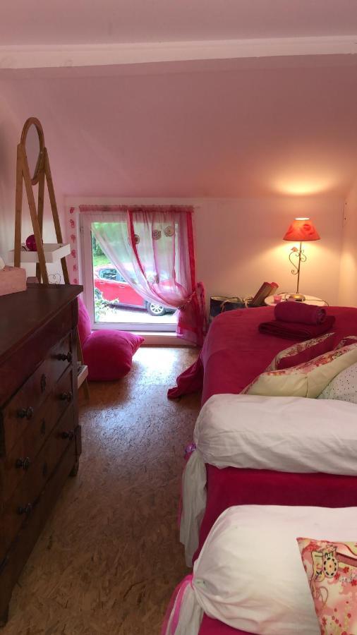 Le Loft Au-Dessus Des Pins Apartamento Lacanau Exterior foto