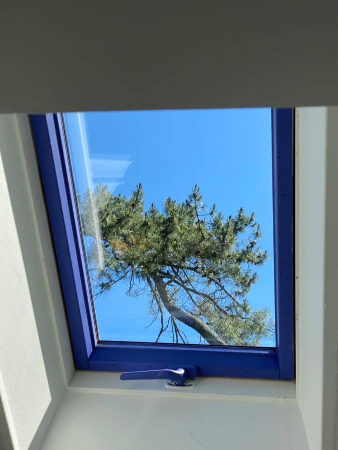 Le Loft Au-Dessus Des Pins Apartamento Lacanau Exterior foto