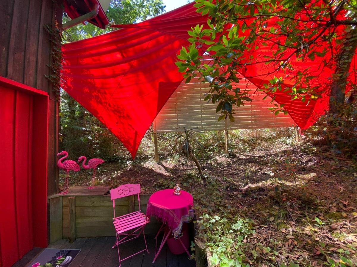 Le Loft Au-Dessus Des Pins Apartamento Lacanau Exterior foto