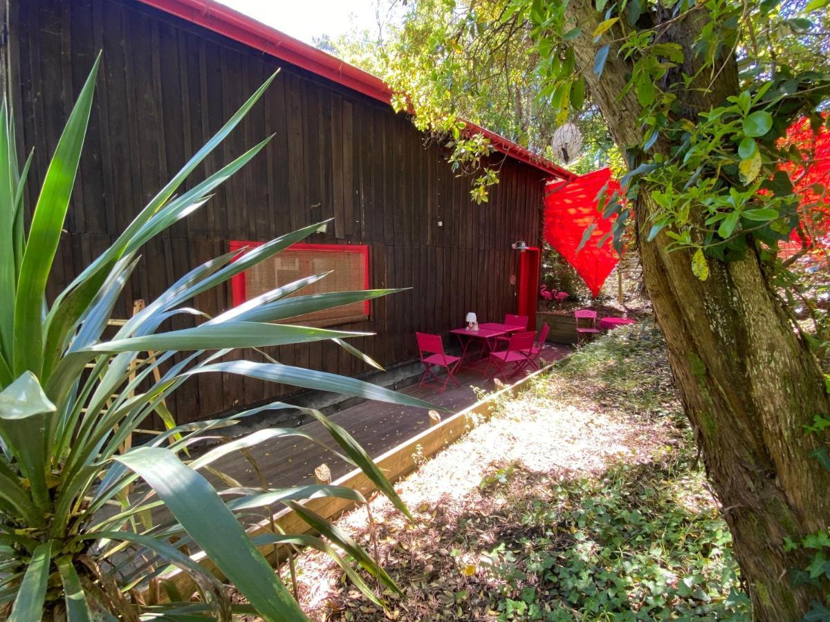 Le Loft Au-Dessus Des Pins Apartamento Lacanau Exterior foto