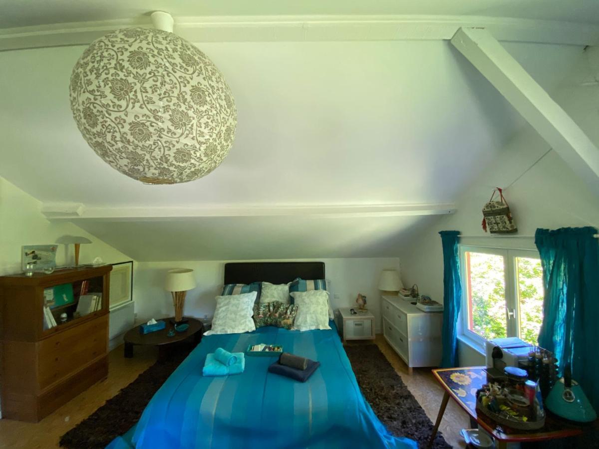 Le Loft Au-Dessus Des Pins Apartamento Lacanau Exterior foto